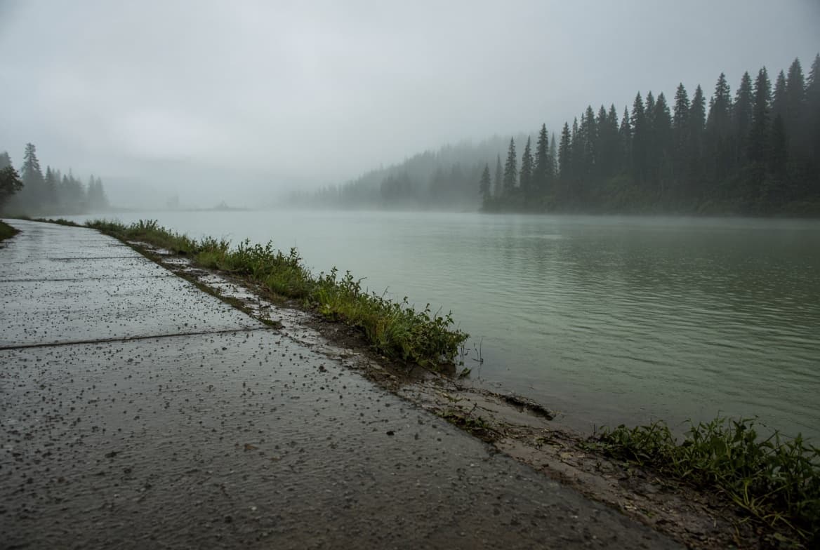 A wet road running beside a fog-covered lake, representing care delivered across distance